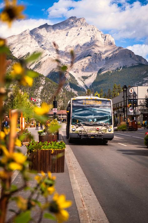 If you are looking for cheap hotels in Banff and think you are out of luck, don’t fear. A decent deal can be had in Banff! However, you’ll have to be strategic with planning and booking to save some real money in Banff. It’s a dream destination in the world and one of the most ... Read more10 Cheap Hotels in Banff That Are Cozy and Comfortable Wilderness Cabins, Lake Louise Banff, Vermillion Lakes, Sunshine Village, Lake Agnes, Johnston Canyon, Parks Canada, Cascade Mountains, Lake Louise