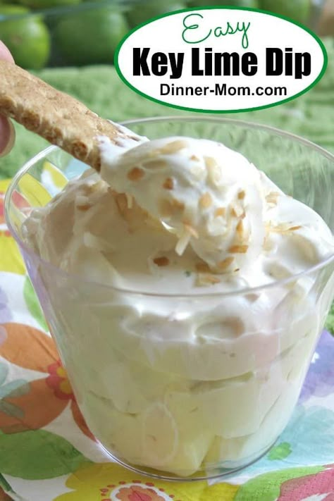 Make creamy Key Lime Pie Dip using Cool Whip, then sit by the pool and dip fruit and graham crackers! It's the ultimate summer treat! #keylimepiedip Coconut Fruit Dip, Key Lime Dip, Key Lime Pie Dip, Creamy Key Lime Pie, Lime Dip, Easy Key Lime Pie, Sweet Appetizers, Key Lime Pie Easy, Dessert Business