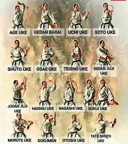 Karate Blocks, Karate Benefits, Karate Sparring, Kyokushin Karate Kata, Karate Moves, Goju Ryu, Prepper Survival, 1 John, Karate