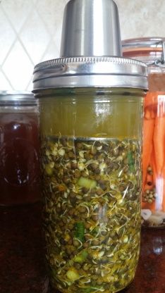 Exotic Sprouted Fermented Black Beluga Lentils Recipe - Genius Kitchen Fermented Lentils, Sprouting Lentils, Black Beluga Lentils, Lentil Sprouts, Fermentation Station, Fermenting Foods, Sally Fallon, Lentils Recipe, Fermented Kimchi