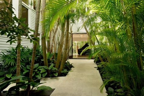 Key West Style Homes, Key West Style, Coastal Cottage Style, Tropical Backyard, Tropical Oasis, Luxury Getaway, Landscape Design Plans, Outdoor Living Spaces, Landscape Features