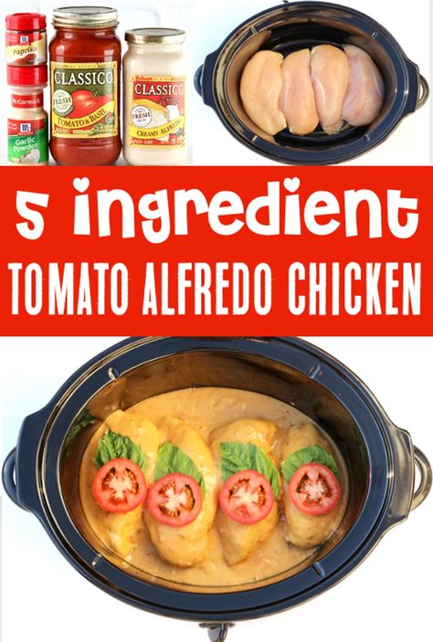 Crockpot Alfredo Chicken Recipe Crockpot Chicken With Red Sauce And Alfredo, Crockpot Chicken Alfredo Easy Jar Sauce, Easy One Dish Dinners, Crockpot Alfredo Chicken, Slow Cooker Alfredo, Crockpot Alfredo, Recipe With Tomato Sauce, Tomato Basil Chicken Recipe, Slow Cooker Chicken Alfredo