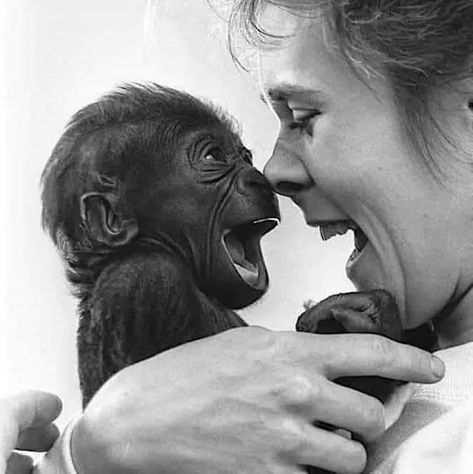 He recognises joy, love and sharing. - 9GAG Regard Animal, Baby Monkey, Primates, Sweet Animals, Funny Animal, Cuteness Overload, Animals Friends, Beautiful World, Animal Photography