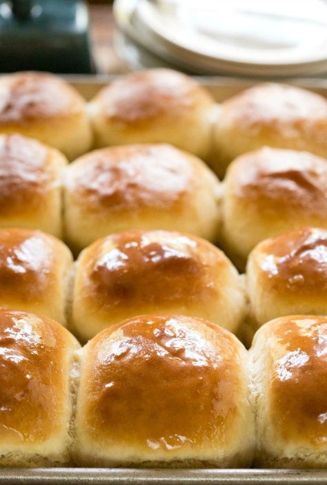 30 Minute Honey Butter Rolls Honey Butter Rolls, Butter Rolls, Fluffy Dinner Rolls, Butter Roll, Pane Dolce, Yeast Breads, Biscuit Recipes, Lunch Lady, Baking Bread