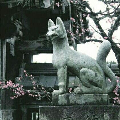 Shrine Aesthetic, Shrines In Japan, Gion Kyoto, Japanese Statue, Inari Shrine, Japanese Plum, Japanese Fox, Japanese Shrine, Kitsune Fox