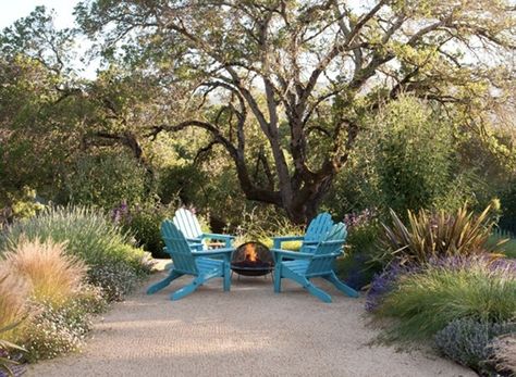 Decomposed granite fire safe patio ; Gardenista Decomposed Granite Patio, Low Water Plants, Landscape Pavers, Decomposed Granite, Gravel Patio, Tree Garden, Patio Fire Pit, Fruit Tree, Backyard Fire