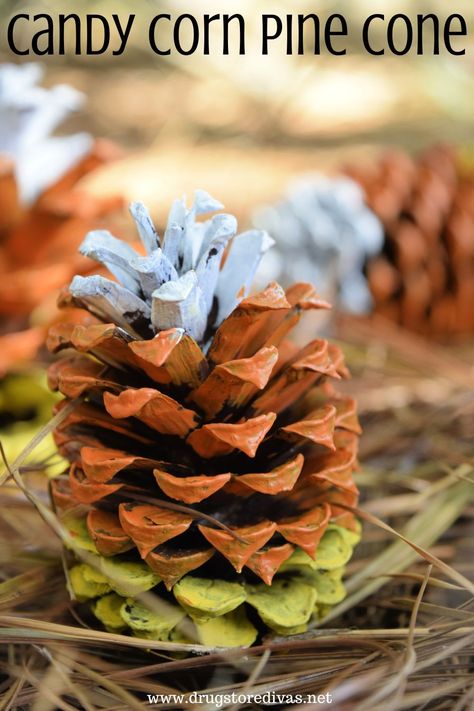 A little bit of paint turns pine cones into a cute craft for Halloween. Just follow our DIY Candy Corn Pine Cone Tutorial to make adorable Fall decorations for your shelves or baskets. Coloring Pine Cones, Candy Corn Pinecones, Pine Cone Candy Corn, How To Dye Pine Cones With Food Coloring, Pine Cone Witchcraft, Pinecone Candy Corn Wreath, Diy Halloween Food, Yellow Spray Paint, Fall Recipes Pumpkin