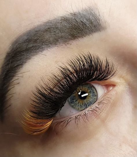 Lash Extensions With Orange Color, Black And White Eyelash Extensions, Orange Lash Extensions, Colourful Lashes, Fall Lashes, Color Eyelash Extensions, Color Eyelashes, Eyelash Tech, Lash Ideas