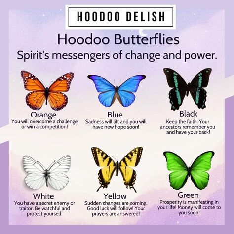 Hoodoo Delish, Butterfly Meaning, Hoodoo Magic, Spirit Animal Meaning, Hoodoo Spells, Spirit Signs, Animal Spirit Guides, Butterfly Quotes, Witch Spirituality