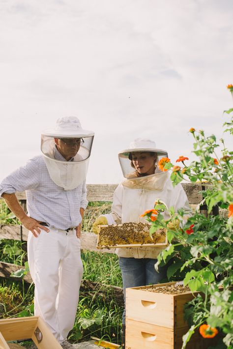 a daily something: Kinfolk Honey Harvest Workshop - Middleburg, VA | photo by Sweet Root Village Bee Keeping Photography, Honey Harvesting, Honey Harvest, Middleburg Va, Animal Infographic, Big Farm, Backyard Beekeeping, Farm Lifestyle, Bee Farm