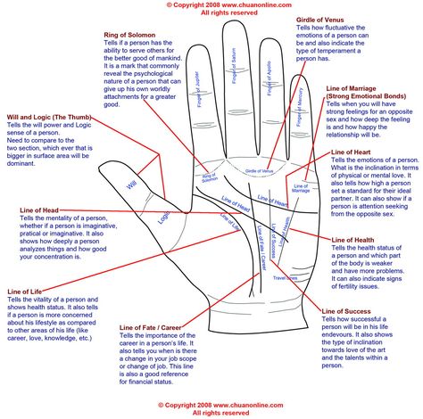 Believe in this stuff or not, palm reading is always an impressive party trick. With all the Halloween gatherings coming way, this should be fun to memorize so you can show off your new basic palm ... Basic Palm Reading, Palm Reading Charts, Palmistry Reading, Star Mandala, Reading Charts, Magia Das Ervas, Hand Palm, Palm Reading, Making Life Easier