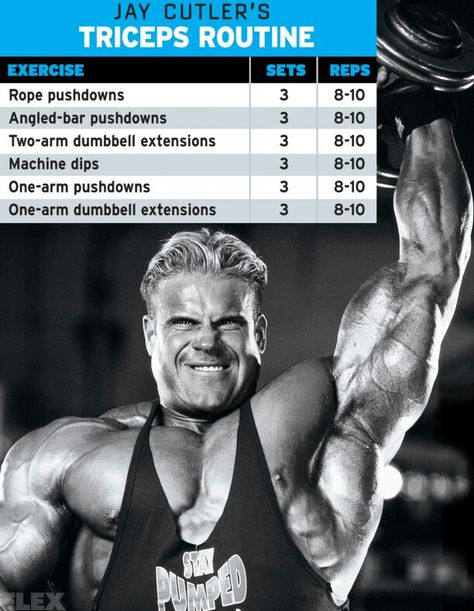 Jay triceps routine Jay Cutler Workout Routine, Bicep Tricep Workout, Musclepharm Workouts, Gym Workout Schedule, Bicep And Tricep Workout, Tricep Workout, Jay Cutler, Arm Workouts, Workout Training Programs