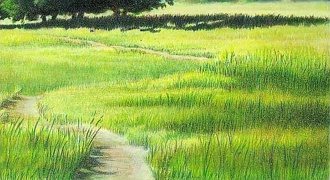 How To Draw Grass Colored Pencil, Grass Color Pencil, Drawing Grass Colored Pencil, How To Draw Grass With Colored Pencils, How To Draw Grass Pencil, Grass Colored Pencil, Grass Drawing, Grass Illustration, Pencil Drawing Ideas