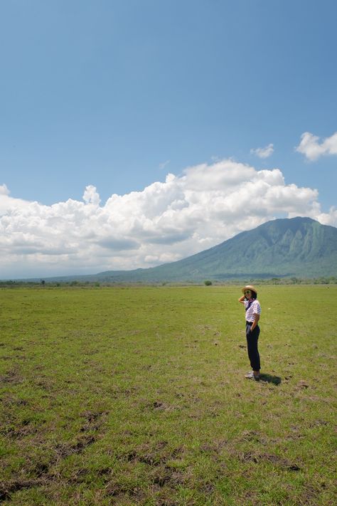 a little africa van java, nation baluran park. banyuwangi indonesia Mangrove Forest, East Java, Java, National Park, National Parks, Indonesia, Forest, Natural Landmarks, Van