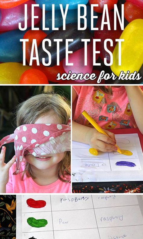 Science for Kids: Jelly Bean Taste Test Jelly Bean Taste Test, Classroom Experiments, Easter Science, Candy Experiments, Sense Of Taste, Science Birthday, Science Party, Kid Experiments, Easter Games