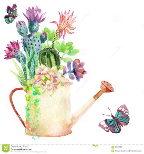 Illustration about Watercolor succulents, watering can and butterflies. Hand painted illustration. Illustration of beauty, bouquet, opuntia - 60045359 Buttercup Flower, Rose Watercolor, Succulent Art, Watercolor Succulents, Watercolor Rose, Framed Canvas Wall Art, Canvas Art Painting, Watering Can, Bungalow Rose