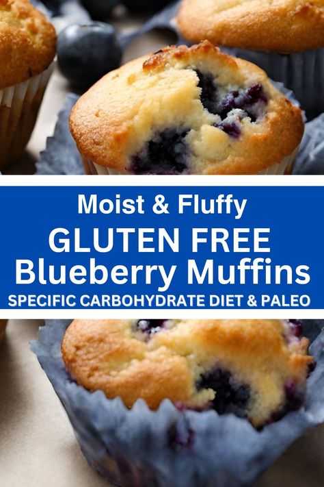 Paleo Blueberry Muffins Dairy Free Blueberry Muffins, Paleo Blueberry Muffins, Gluten Free Blueberry Muffins, Muffins Recipes, Lemon Blueberry Muffins, Healthier Options, Muffin Recipes Blueberry, Free Friends, Gluten Free Muffins