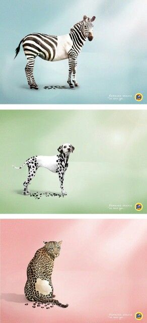 Amazing animal Great Advertising Ad Campaigns, Product Campaign Creative Advertising, Creative Ad Campaigns Design, Laundry Detergent Creative Ads, Wellness Creative Ads, Detergent Ads Creative, Ad Creative Design, Creative Ads Clever Advertising, Tide Advertisement