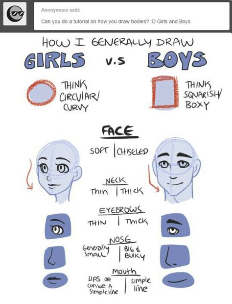 Face: female vs male Male Vs Female, Character Design Cartoon, Anatomy Drawing, Poses References, Guided Drawing, Anatomy Reference, Drawing Tutorials, Drawing Reference Poses, Art Tips