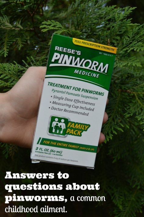 The full scoop on pinworms! When you find out that your child has pinworms or you are wondering if they do- you will likely want to know, “How do you get pinworms?” and “How do you get rid of pinworms?” That is why I am happy to partner with Reese’s Pinworm Medicine to help provide you with answers and an easy, safe, and affordable solution to get rid of pinworms fast. #ad Pinworms In Children, Pin Worms, Parenting Podcasts, Parenting Plan, Parenting Classes, Parenting Help, Co Parenting, Good Parenting, Single Parenting