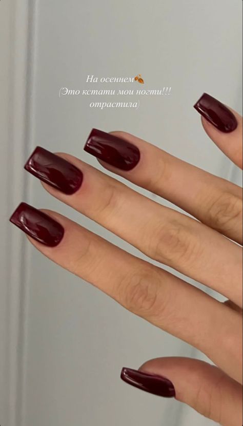 Nail Colors Winter Classy, Nails Acrylic Autumn, Solid Color Acrylic Nails, November Nails Colors, Euphoria Nails, Wide Nails, Tapered Square Nails, Pink Gel Nails, French Tip Acrylic Nails