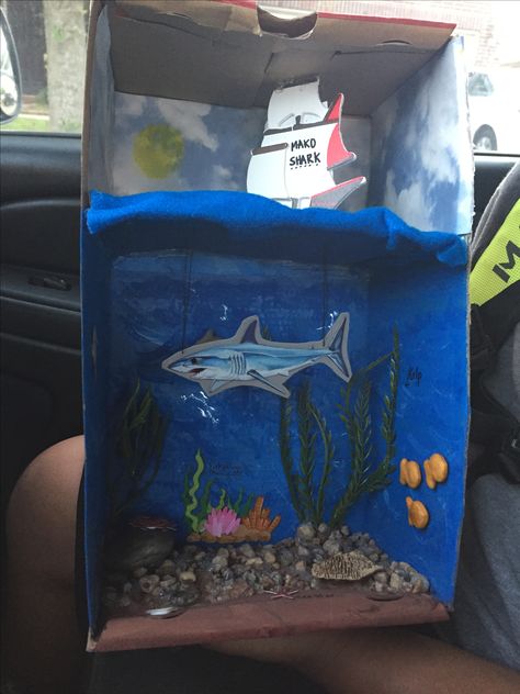 School project  Shark habitat Shark Diarama Ideas Kids, Great White Shark Diorama, Shark Habitat Diorama, Shark Diorama School Projects, Shark Habitat Project For Kids, Shark Habitat Project, Shark Diorama, Shark Project, Shark Habitat