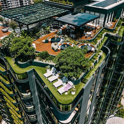 As our cities densify, the provision of rooftop amenity is becoming increasingly important to urban life in Australian cities. The rooftop at #oxleyandstirling landscaped by @martinbrothers_landscaping , developed by @ariapropertygroup and designed by @elenberg_fraser is one benchmark example! The rooftop project features a vine-covered pergola, lap and plunge pool, alfresco dining and panoramic views of Brisbane river and CBD. Check out the link in our bio for a recently featured article in Que Australian Cities, Rooftop Garden Urban, Beginners Gardening, Roof Gardens, Brisbane River, Green Roofs, Gardening Inspiration, Rooftop Lounge, Backyard Gardening