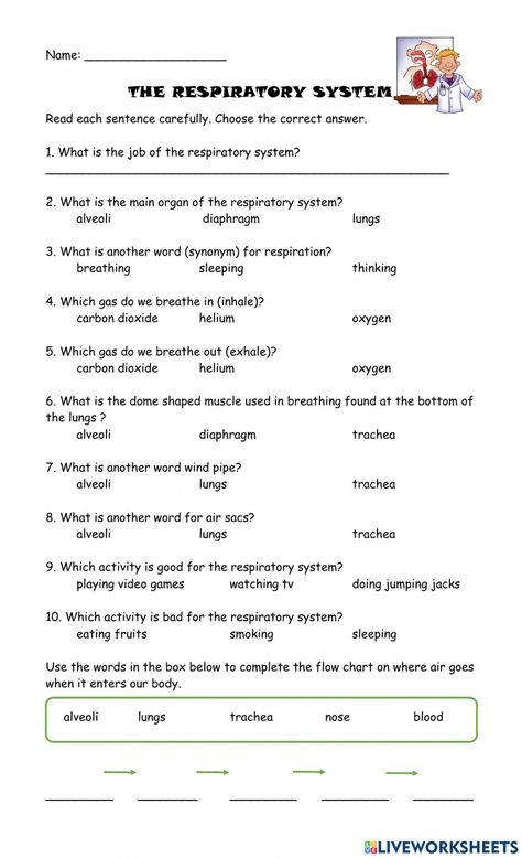 Respiratory System Worksheet, Health Science Classroom, Respiratory System Anatomy, Nursing School Studying Cheat Sheets, Decimal Multiplication, Human Body Worksheets, Mental Maths Worksheets, Biology Worksheet, The Respiratory System