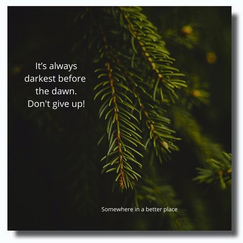 It’s always darkest before the dawn. Don't give up! Darkest Before The Dawn, Before The Dawn, The Dawn, Don't Give Up, Spiritual Journey, Giving Up, Always Be, Life Quotes, Spirituality