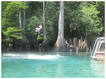 Rope swings near my old stomping ground! I will go on a rope swing one day. Florida Springs Map, Northwest Florida, Glass Bottom Boat, Florida Springs, Spring Park, Family Destinations, Cypress Trees, Summer Is Here, Crystal Clear Water