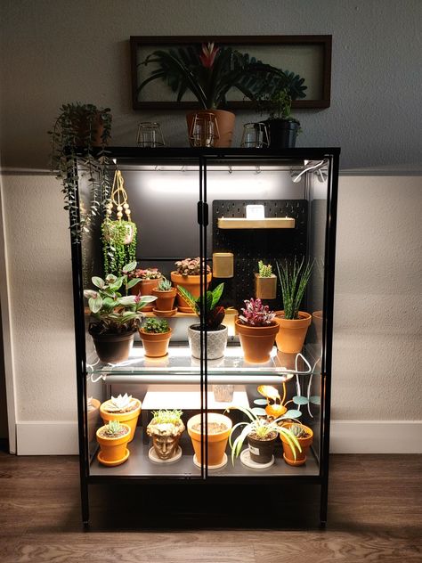 Ikea Rudsta Plant Cabinet, Plant Display Cabinet, Ikea Greenhouse Cabinet Rudsta, Indoor Plant Cabinet, Indoor Plant Organization Ideas, Indoor Plants Ideas Display, Rudsta Greenhouse Cabinet, Plant Cupboard, Diy Plant Cabinet