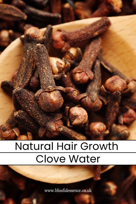 Has it ever crossed your mind that cloves could be the secret to healthy hair growth? Just found a blog post that shows how to prepare and use clove water for stronger, fuller hair! Who knew? Totally sold on giving this natural hair magic a go! 💚✨ #HairGrowthSecret #NaturalHairGoals #CloveWaterRecipe #HairGrowth #CloveWater #NaturalRemedies #DIYHairCare #ScalpMassage #HealthyHair #HerbalHairCare Clove Water Recipe, Clove Water For Hair Growth Diy, Clove Water Benefits For Skin, Clove Oil Benefits For Hair, Clove Benefits For Hair, Clove Water For Hair, Clove Water For Hair Growth, Cloves For Hair Growth, Clove Water