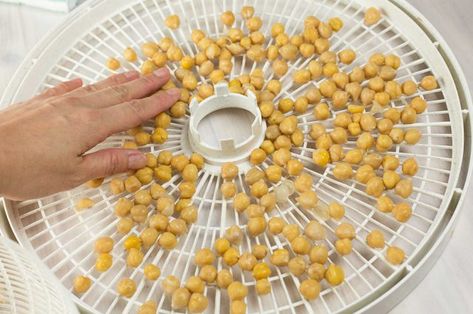 How to Dehydrate Canned Chickpeas | LEAFtv Dried Fava Beans, Food Dehydrator Recipes, Dehydrator Ideas, Storing Food Long Term, Dehydrating Food Storage, Food Dehydration, Dehydrating Food, Dehydrated Foods, Dehydrated Vegetables