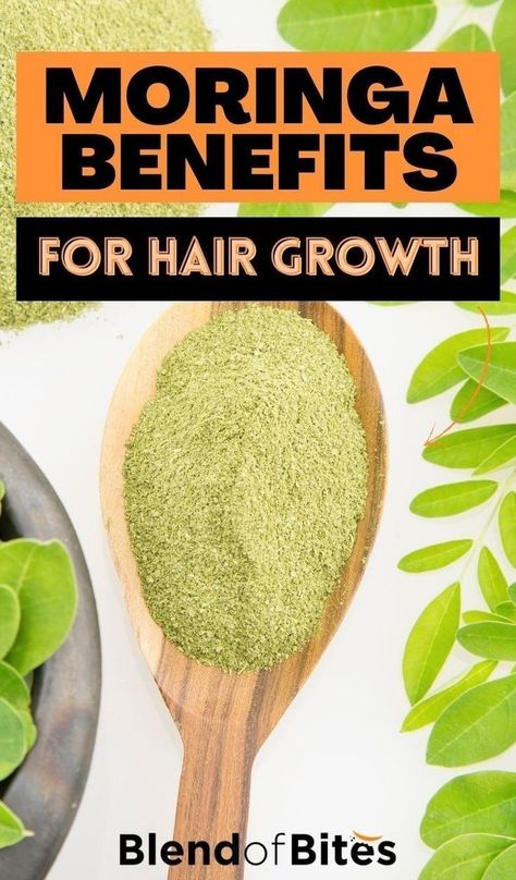 In this post we will discuss the different nutritional contents of the plant and the mechanisms by which they improve hair health. As a bonus, some tips on how to prepare the moringa plant before using it in your hair will also be tackled. Check out the moringa benefits for hair growth at www.blendofbites.com | healthy ingredients Moringa Plant, Moringa Benefits, Moringa Seeds, Seeds Benefits, The Mechanisms, Health Podcast, Healthy Lifestyle Motivation, For Hair Growth, Hair Food