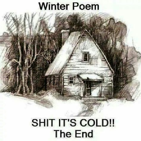 "Winter poem: Shit it's cold. The end." Winter Humor, Winter Poems, Hate Winter, Its Cold, Wine Quotes, Wine Humor, E Card, It's Cold, Bones Funny