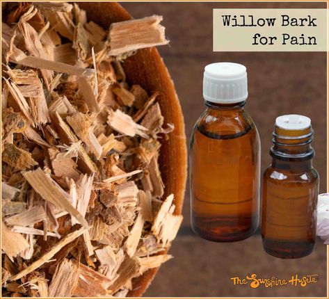 White Willow Bark Tincture, Tinctures Recipes, Homemade Alcohol, Willow Bark, Herbal Tinctures, Best Shakes, Herb Recipes, Holistic Remedies, Herbal Extracts