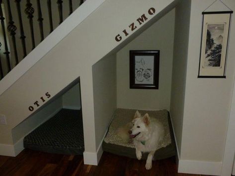 Bed Under The Stairs, Dog Under Stairs, Bed Under Stairs, Under Stairs Dog House, Dog Nook, Dog Den, Dog Bedroom, Puppy Fever, Indoor Dog House