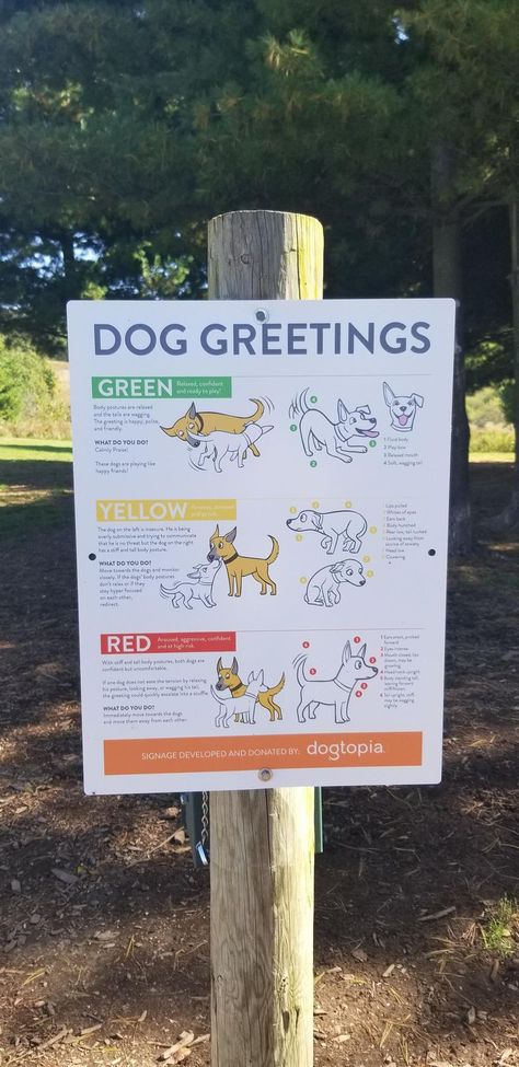 Indoor Dog Park Ideas, Private Dog Park, Dog Training Facility Ideas, Dog Shelter Aesthetic, Dog Park Ideas, Dog Olympics, Dog Boarding Facility Ideas, Dog Hashtags, Dog Training Facility