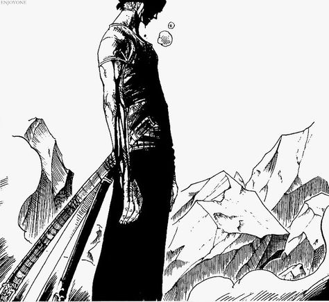 Zoro: Epic...probably Observation Haki Zoro Images, Zoro Panel, Haki One Piece, Zoro Manga, Tatsumaki One Punch Man, رورونوا زورو, One Piece Tattoos, The Pirate King, One Piece 1