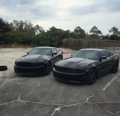 2013 mustang GT, 2011 mustang GT. Blacked out beauties. Black Classic Mustang, 2011 Mustang Gt, 2013 Mustang Gt, 2011 Mustang, Black Mustang Gt, Oc Profile, 2012 Mustang, 2013 Mustang, 2017 Mustang