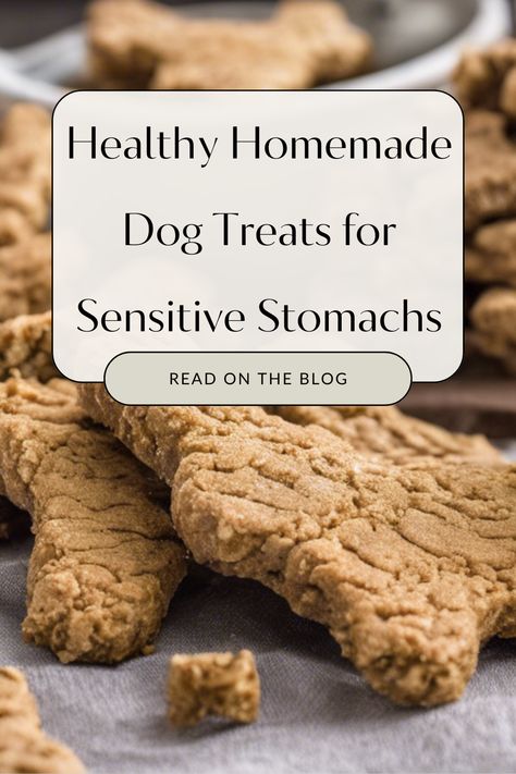 homemade recipes are gentle on sensitive doggy tummies Diy Natural Dog Treats, Treats For Dogs With Sensitive Stomach, Dog Treats To Help With Digestion, Cheap Dog Treats Homemade, Sensitive Stomach Dog Treats, Coconut Oil Treats For Dogs, Hypoallergenic Dog Treats Recipes, Soft Dog Treats Homemade No Bake, Green Bean Dog Treats