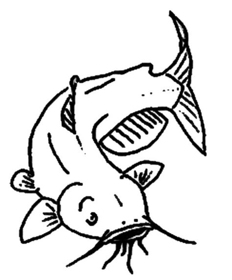 Channel Catfish Coloring Pages : Best Place to Color Catfish Tattoo, Fish Outline, Channel Catfish, Catfish Fishing, Pages To Color, Outline Illustration, Cartoon Fish, Fish Drawings, Cat Coloring Page