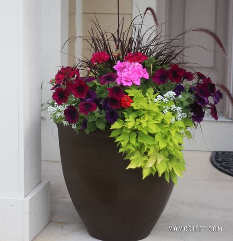 How to plant flower pots Exterior Flower Pots, How To Design Flower Pots, Large Round Planters Outdoor Ideas, Multi Plants In One Pot, Flower Beds With Pots, Flower Beds With Potted Plants, Multi Flower Pot Ideas, Flower Container Combinations, Flower Pot In Flower Bed