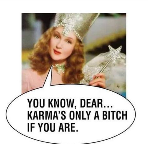 Karma’s only a b**** if you are Anti Social, Wizard Of Oz, Thought Provoking, Sketch Book, Funny, Quotes, Movie Posters, Film Posters