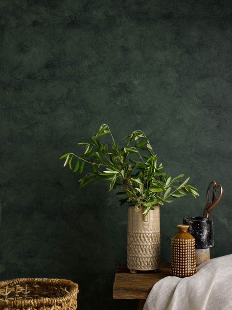 Craig And Rose Chalk Wash, Green Chalk Paint Wall, Wall Wash Paint, Chalk Wash Paint, Green Sponge Painted Walls, Chalk Wash Wall, Chalk Paint On Walls, Dark Green Limewash Walls, Green Lime Wash Wall