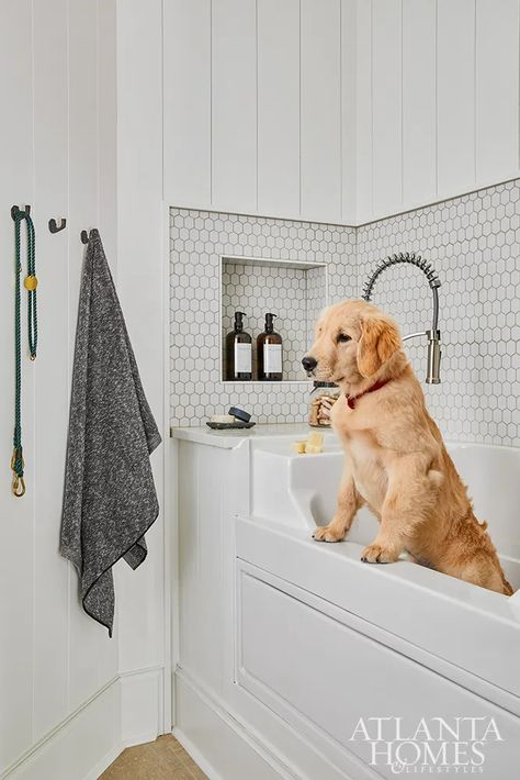 With A Twist - Atlanta Homes and Lifestyles Dog Mud Room Ideas, Penny Tile Floor, Dog Wash Station, Dog Room Design, Kid Friendly Bathroom, Best Cat Breeds, Pet Washing Station, Atlanta Homes And Lifestyles, Wash Station