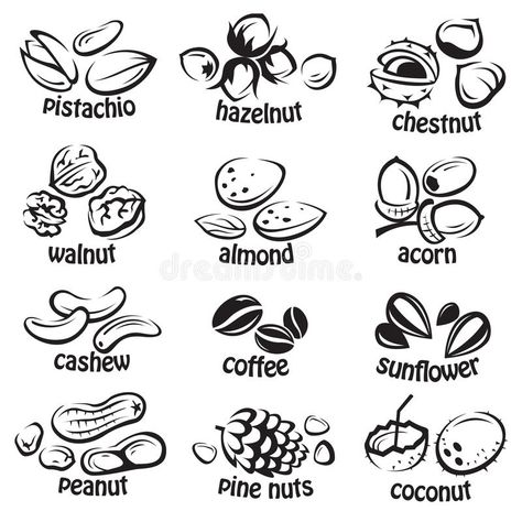 Nuts icon set. Set of vector various nuts #Sponsored , #paid, #ad, #icon, #nuts, #vector, #Nuts Nuts Logo, Calligraphy Doodles, Dog Portraits Painting, Fruit Clipart, Crochet Animal Amigurumi, Fruit Illustration, Chalk Markers, Wedding Logos, Food Drawing