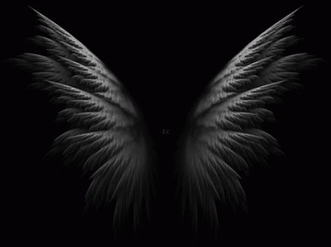 Wings Dark GIF - Wings Dark Animation - Discover & Share GIFs Dark Wings Aesthetic, Angel Wings Gif, Demon Gif, Angel Gif, Dark Gif, Falling Gif, Hd Gif, Demon Aesthetic, Angel Videos