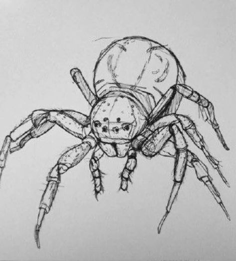 Spiders Drawing Reference, Spider Drawing Scary, Sketches Of Spiders, Spider Face Drawing, Big Spider Drawing, Spider Pen Drawing, Spider Crawling Out Of Eye Drawing, Cool Spider Drawings, Spider Reference Drawing