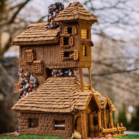 Cat Gingerbread House, Gingerbread House Designs Creative, Harry Potter Gingerbread House Ideas, Cool Gingerbread House Designs, Unusual Gingerbread Houses, Gingerbread House Recipes, Beautiful Gingerbread Houses, Homemade Gingerbread House Ideas, Epic Gingerbread House